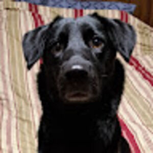 Meet your Posher, Joshua